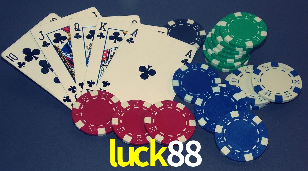 Experiência VIP luck88